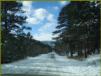 Weg zum Wild Basin Trailhead