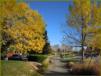 Tuesday 18.10.2011 - Herbst bei Broomfield ...