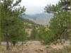 Tuesday 6.09.2011 - Blick nach Westen am Buffalo Bill Museum and Grave