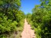 hoch zum Lyons Overlook