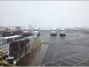 Wednesday 1.5. - Schneefall am Terminal und warten auf Fracht, denn die Line Hauler stecken im Schnee auf den Interstates