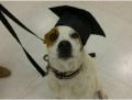 Saturday 7.11.2015 - Baylor graduated from his class