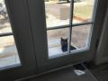 Sunday 1.4.2017 - Shadow sitzt vor der Tür und möchte gern rein