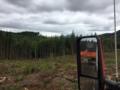 ... Silver Mountain Logging