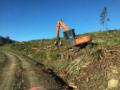 Shovel (Schaufel) zum Wood Junk (Holz Ramsch) laden - wird hauptschlich zu Klopapier gemacht