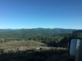 Nebel und Wolken sind weg und man sieht bis zum Mt St. Helens