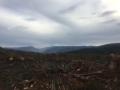 Tuesday 15.1.2019 - 360 Rundum Blick - hier Mt St. Helens ...