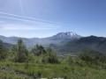 Tuesday 4.6.2019 - Ausflug zum Mt St. Helens ...