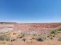 Sunday 6.6.2021 - auf'm Weg heim sind wir durch den Petrified Forest National Park ...