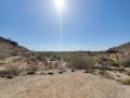 Sunday 9.5.2021 - 1 Stunde wandern am Pima Canyon Trailhead ...