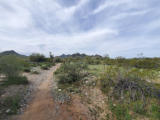 Sunday 5.3.2023 - kleine Wanderung auf dem "L.V. Yates Trail" in North Phoenix ...