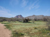 Sunday 12.3.2023 - Coon Bluff Loop at N Bush Hwy nordöstlich von Tempe ...