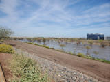 Thursday 16.3.2023 - Salt River in Tempe mit Wasser ...