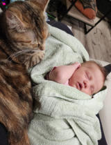 Monday 15.5.2023 - Rosemarie mit Lieblings Katze
