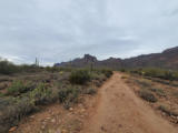 Sunday 7.1.2024 - Wir sind wiedermal wandern - zuerst auf der US60 nach Osten bis Gold Canyon und dann ca. 2km offroad in die Superstition Mountains ...