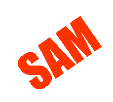 Textfeld: SAM